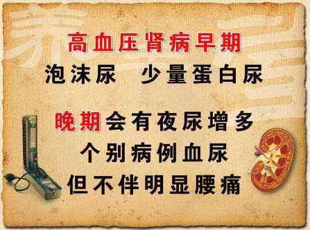 高血压肾病.jpg