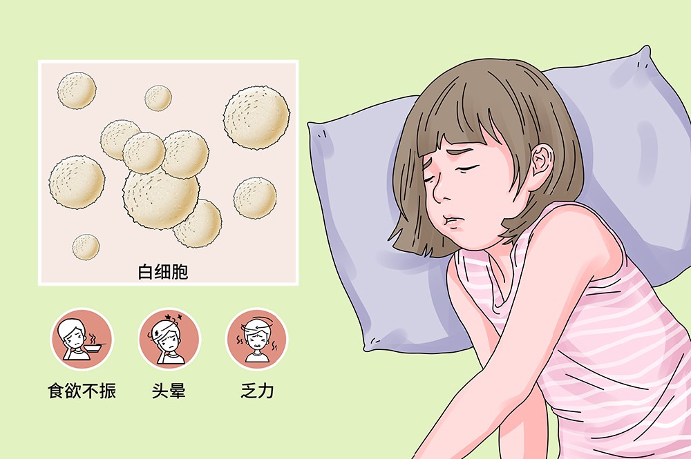 白细胞减少症.jpg